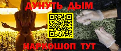 индика Будённовск