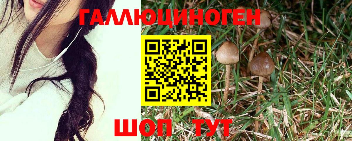 Галлюциногенные грибы ЛСД  Вход с VPN  Ишимбай 